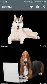 PNG Transparent Background Photos and Images Free screenshot 2