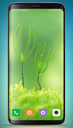 Plants Wallpaper HD screenshot 4