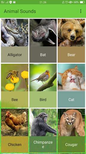 Animal Sounds screenshot 2