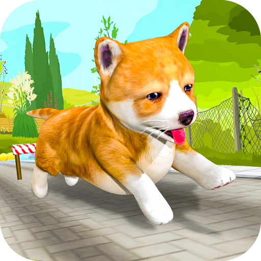 Pet Run Adventure icon
