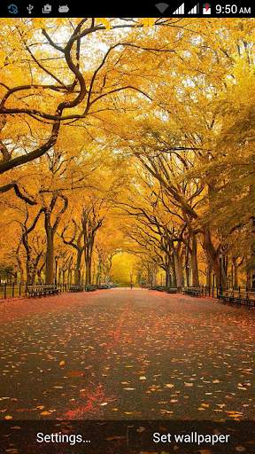 Autumn Live Wallpaper screenshot 2