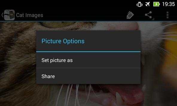 CatBG: Cat Wallpapers screenshot 10