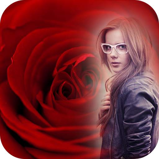 Red Rose Photo Frame 1.1