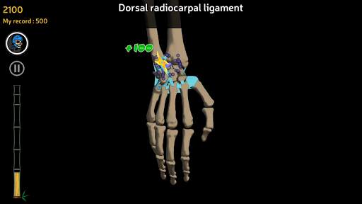 Anatomy Ninja Upper Limb screenshot 4