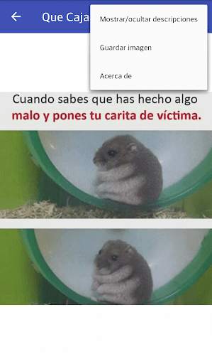 Memes 24 App screenshot 2