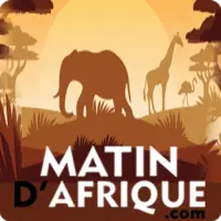 Matin d'Afrique