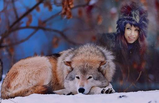 Wolf Photo Frames 3 تصوير الشاشة
