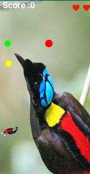 Bird Of Paradise screenshot 3