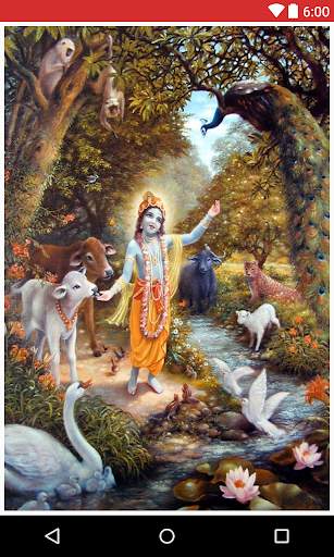 Krishna Bhajans screenshot 4