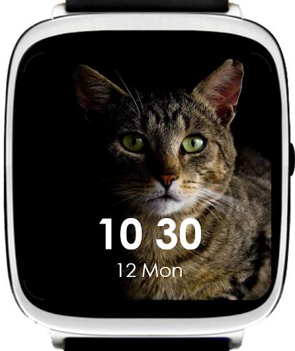 Cats Watch Faces screenshot 7