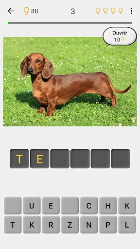 Chiens - Quiz sur toutes les races populaires screenshot 2