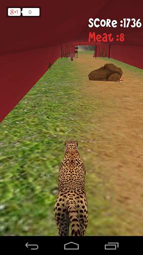 Animal Run :Cheetah 3D screenshot 5