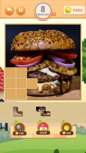 Pieces Pictures screenshot 7