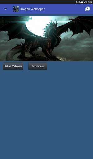 Dragon Wallpaper - Dragon Wallpapers Hd screenshot 14