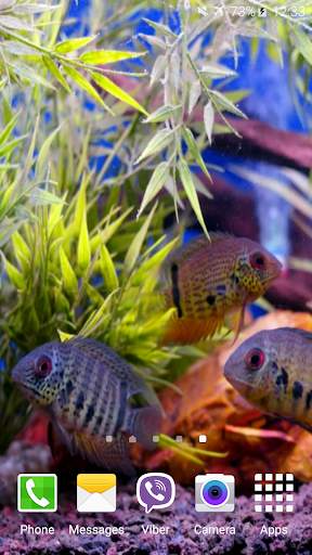Aquarium Video Wallpaper screenshot 4
