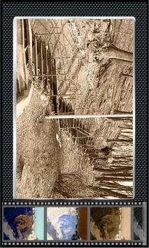 Vintage Camera screenshot 5