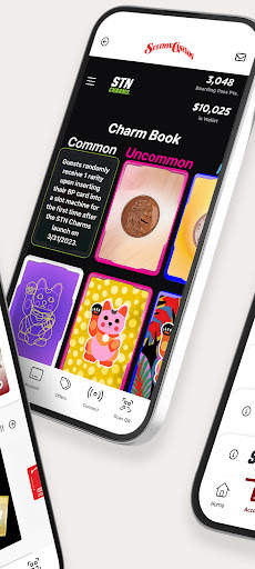 STN MOBILE screenshot 2