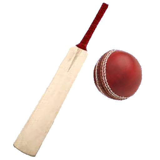Sports : Cricket Batting icon