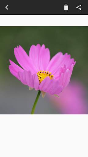 DSLR Camera - Blur Background screenshot 6