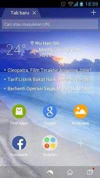 Dolphin Browser (Indonesia) screenshot 1