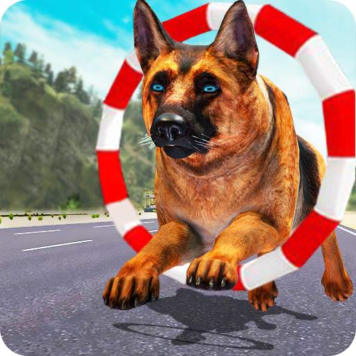 Dog Training: Dog Games 1.9