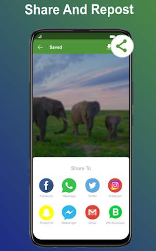 What's the Status - Best Status Saver for whatsapp screenshot 3