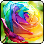 Fancy Colorful Wallpapers icon