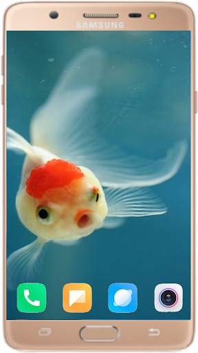 Betta Fish Wallpaper screenshot 4