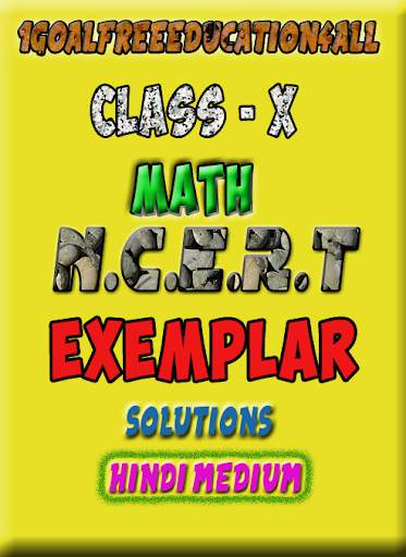 Class 10 math(Hindi)Ncert exemplar screenshot 1