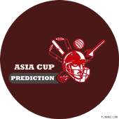 Cricket Prediction 2.4
