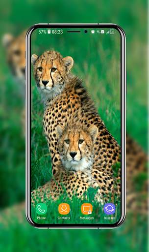 New Cheetah Wallpapers screenshot 3