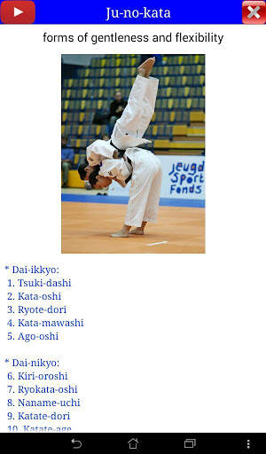 Judo in brief screenshot 11