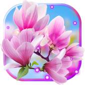 Spring Magnolia live wallpaper 1.3