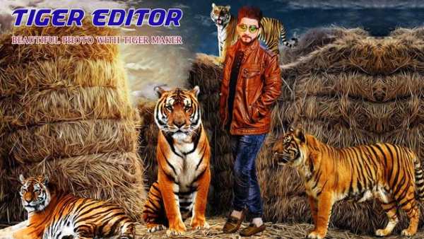 Tiger Photo Editor 4 تصوير الشاشة