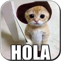 Hola Cómo estás icon