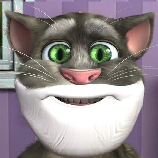Old Talking Tom 1