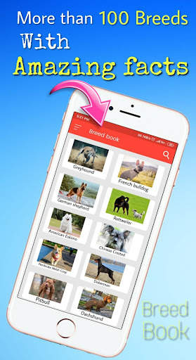 Dog and owner : Breed info , Diet , fact screenshot 4