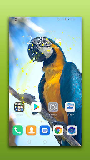 Bird Live Wallpaper screenshot 3