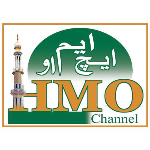 HMO CHANNEL 1.6