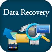 Data Recovery 1.1