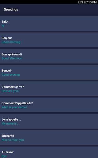 Travel Phrases screenshot 15