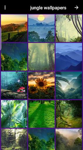 jungle wallpaper screenshot 6