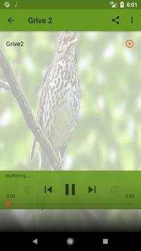 Thrush Bird Sound screenshot 3
