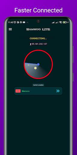 Bamboo VPN Lite screenshot 3