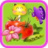 Bubble Fruits