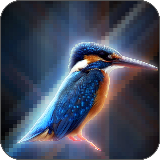 Pixel Photo Editor icon