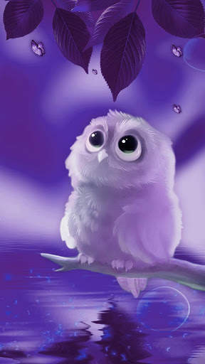 Cute Owl APUS Live Wallpaper screenshot 4