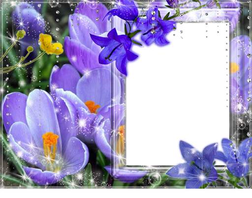 Flower Frames Photo Maker screenshot 4