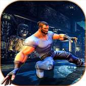 Street Karate Fighting Kungfu Saga King Fighter logo
