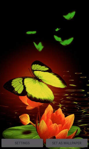 Green Butterflies Live Wallpaper screenshot 3
